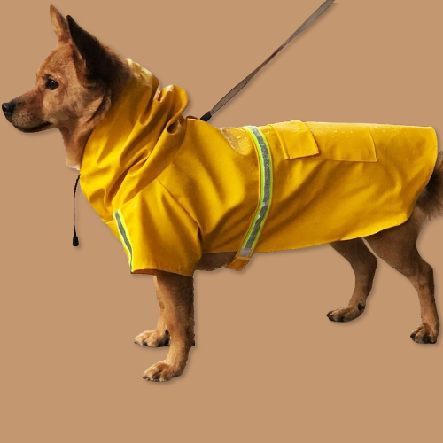 Impermeabile per cani, giacca antipioggia impermeabile per cani con striscia riflettente di sicurezza, poncho con cappuccio per cani bassotti e guinzaglio per cani e cuccioli