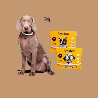 Dog/Cat Flea Deworming Collar !