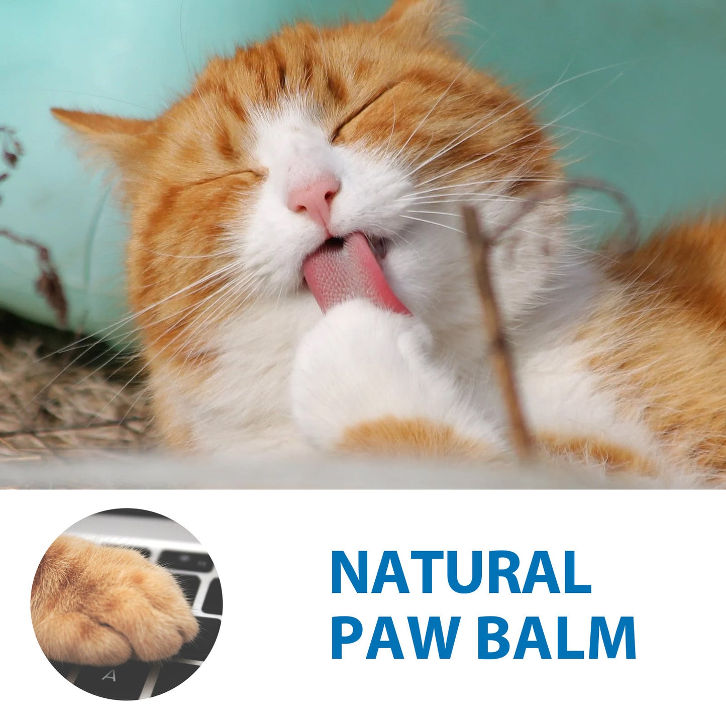 Cat's Paw Stick Repair Crack-proof !