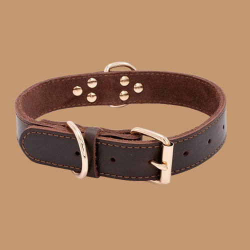 Dog leather collar !