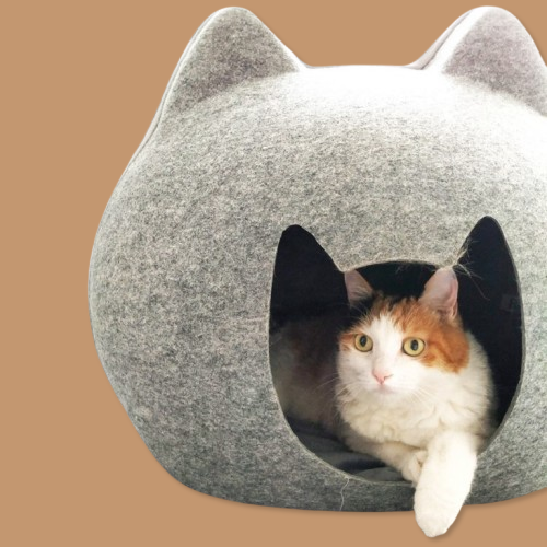 Cat Bed House !