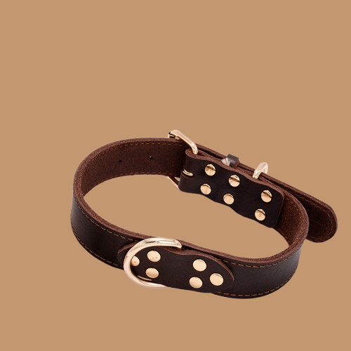 Dog leather collar !