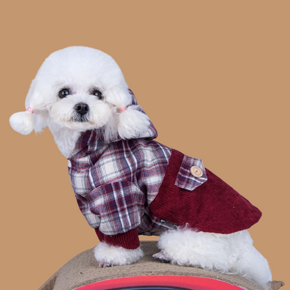 Teddy VIP Small Dog Plus Cashmere Coat !