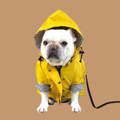 Tide Brand Windproof And Rainproof British Retro Padded Dog Raincoat !