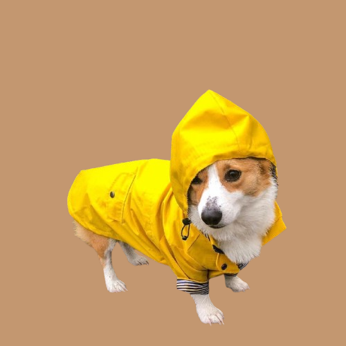 Tide Brand Windproof And Rainproof British Retro Padded Dog Raincoat !