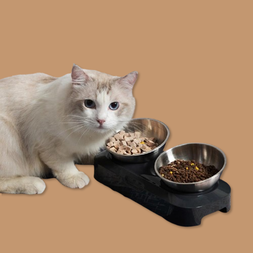 Pet Stainless Steel Bowl Pet Double Night