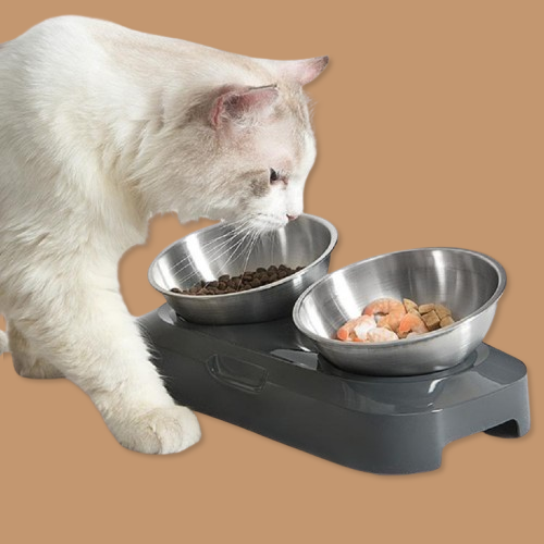 Pet Stainless Steel Bowl Pet Double Night