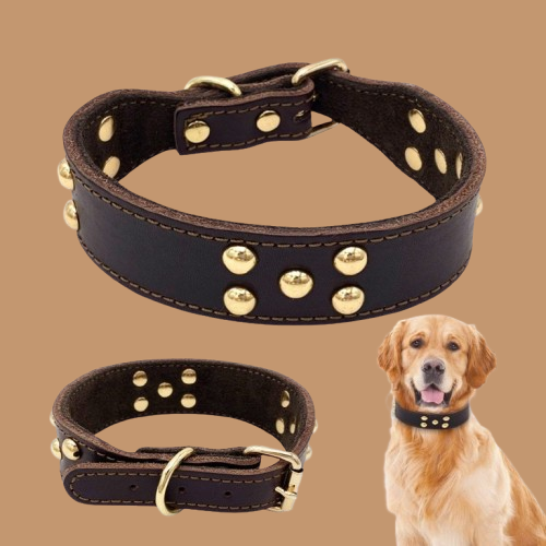 Dog leather collar !