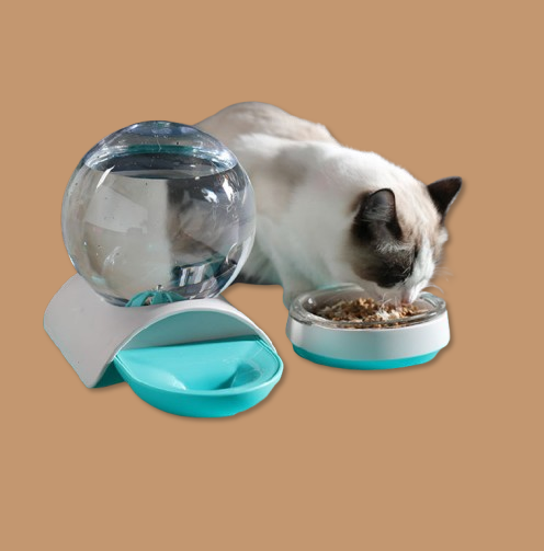 Pet feeding waterer