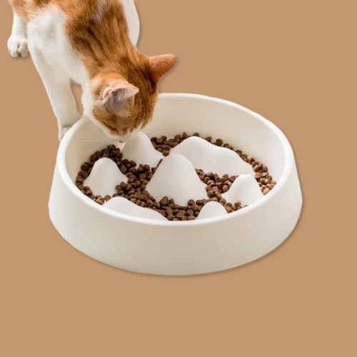 Pet Slow Food Bowl !