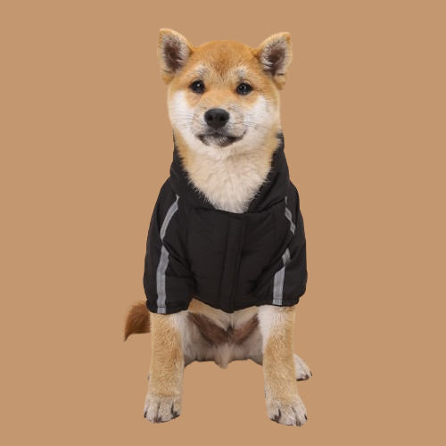 The Dog Face and Pupreme Dog Clothing Shell Jacket !