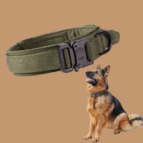 Pet Tactical Dog Collar And Leash Set, Adjustable Military Nylon Dog Collar !