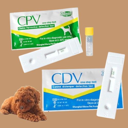 Pet CDV / CPV test paper !