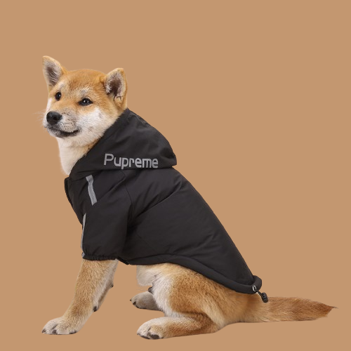 The Dog Face and Pupreme Dog Clothing Shell Jacket !