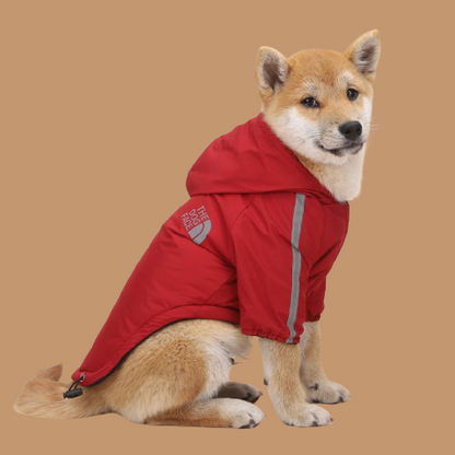 The Dog Face and Pupreme Dog Clothing Shell Jacket !