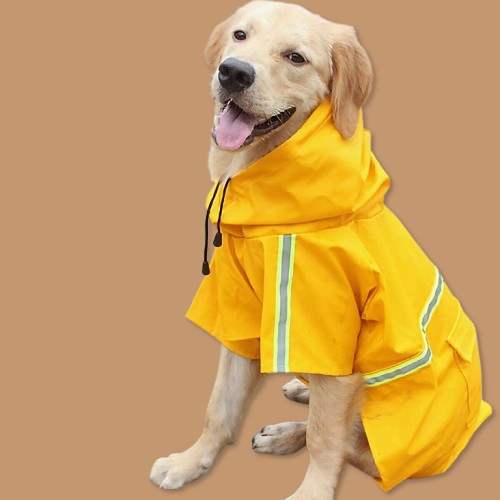 Impermeabile per cani, giacca antipioggia impermeabile per cani con striscia riflettente di sicurezza, poncho con cappuccio per cani bassotti e guinzaglio per cani e cuccioli