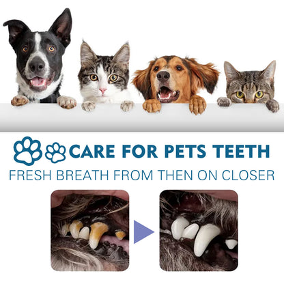 Pet Oral Cleaning Spray Remove Tartar And Bad Breath !