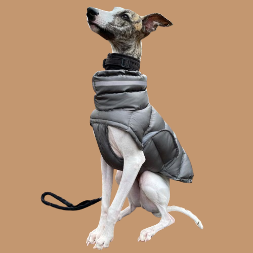 Dog Clothes Thickened Thermal Vest Cotton Coat !