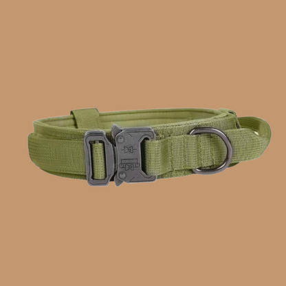 Pet Tactical Dog Collar And Leash Set, Adjustable Military Nylon Dog Collar !