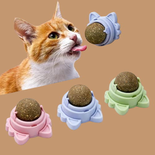 Catnip Balls Teeth Cleaning Dental Chew