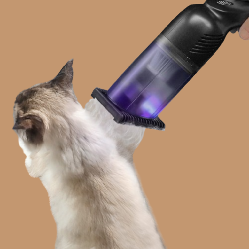 Pet Hair Aspirator Removes !