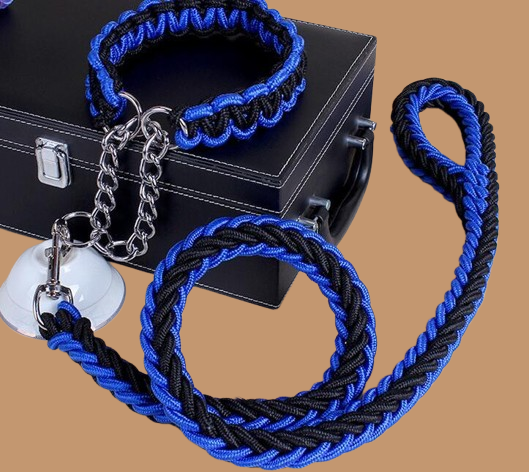 Dog collar !