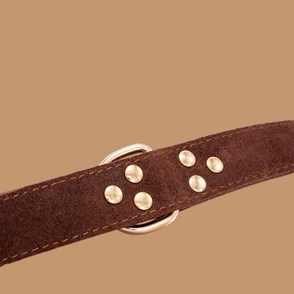 Dog leather collar !