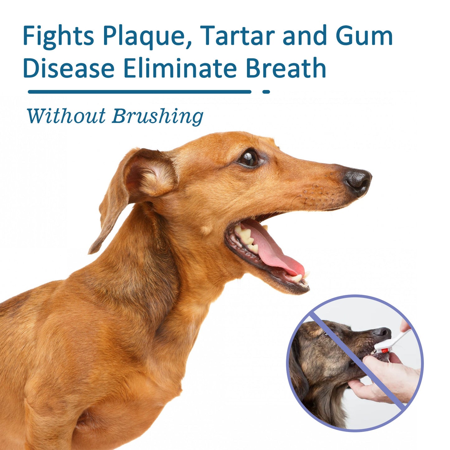 Pet Oral Cleaning Spray Remove Tartar And Bad Breath !