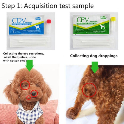 Pet CDV / CPV test paper !