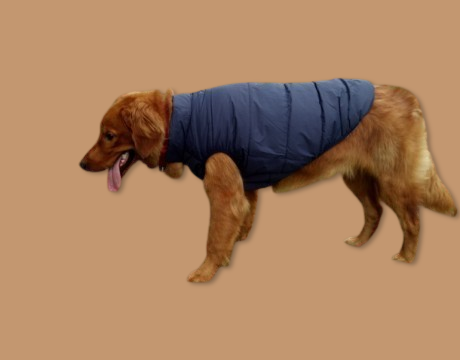 Abbigliamento per animali domestici, abbigliamento per cani, caldo, impermeabile, forniture per animali domestici all'aperto