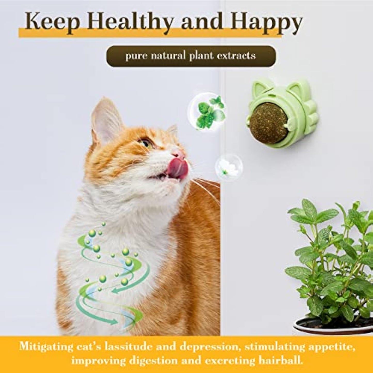 Catnip Balls Teeth Cleaning Dental Chew