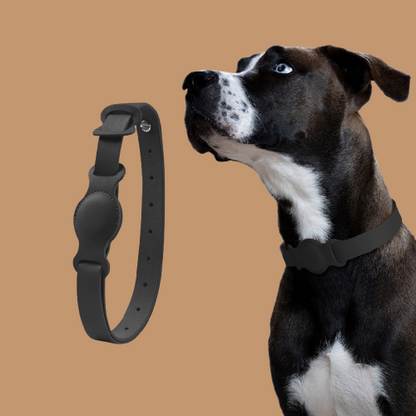 Anti-lost Device Cat And Dog Pet Collar Chain Leather Case !