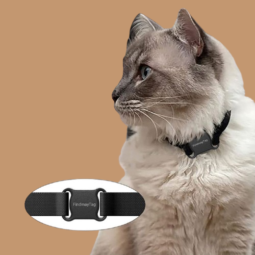 Smart Pet Cat Dog GPS Locator !