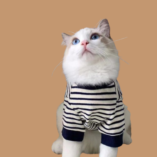 Puppet Cat Two Pod Sweater