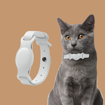 Anti-lost Device Cat And Dog Pet Collar Chain Leather Case !