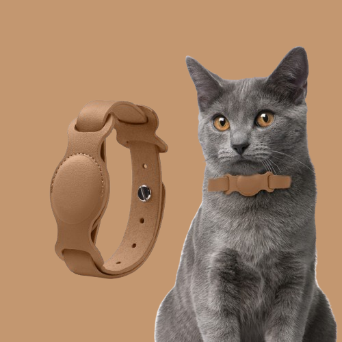 Anti-lost Device Cat And Dog Pet Collar Chain Leather Case !